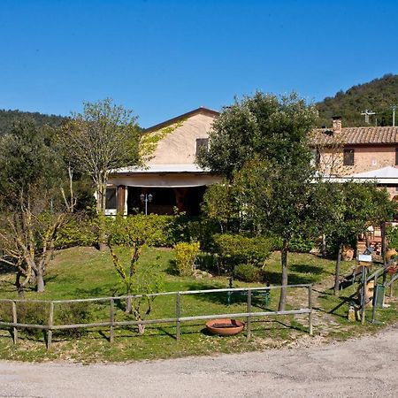 Agriturismo Torre Burchio 베토나 외부 사진